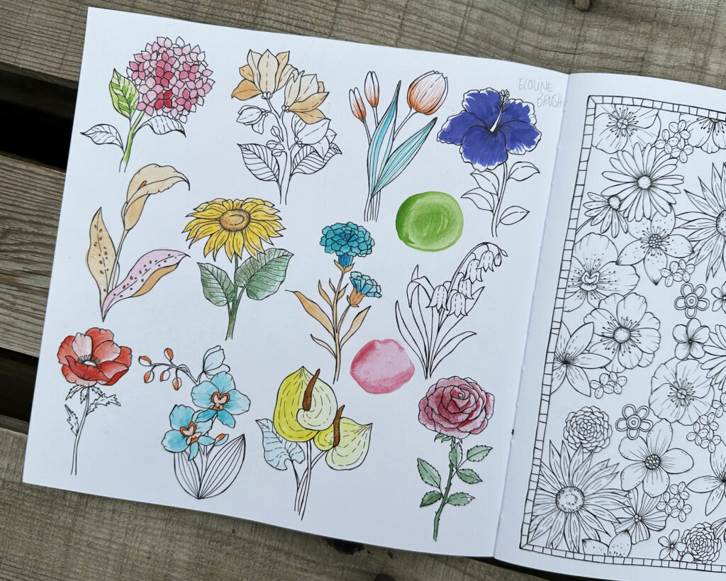 Verschiedene einzelne Blumen: Für mich die perfekte Seite um verschiedene Techniken auszuprobieren und direkt zu vergleichen.